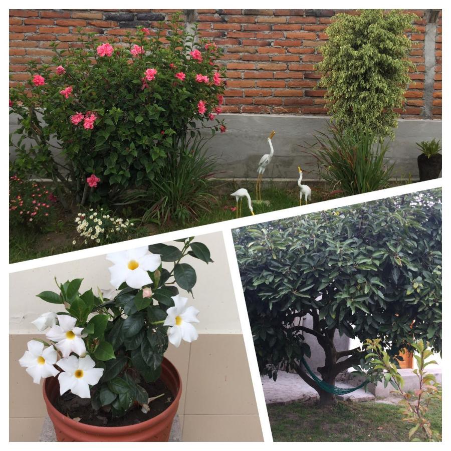 Tababela Airport B&B Bagian luar foto