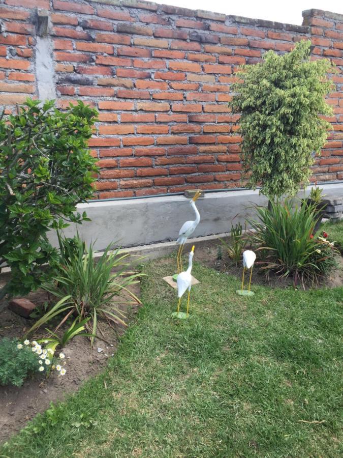 Tababela Airport B&B Bagian luar foto