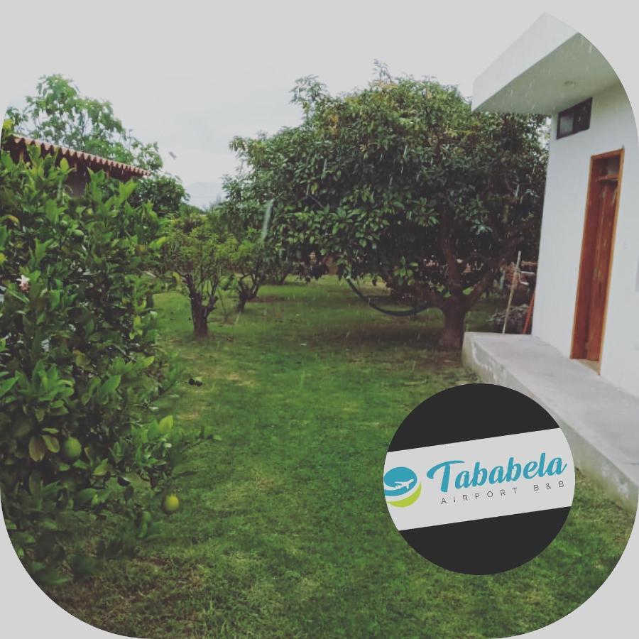 Tababela Airport B&B Bagian luar foto